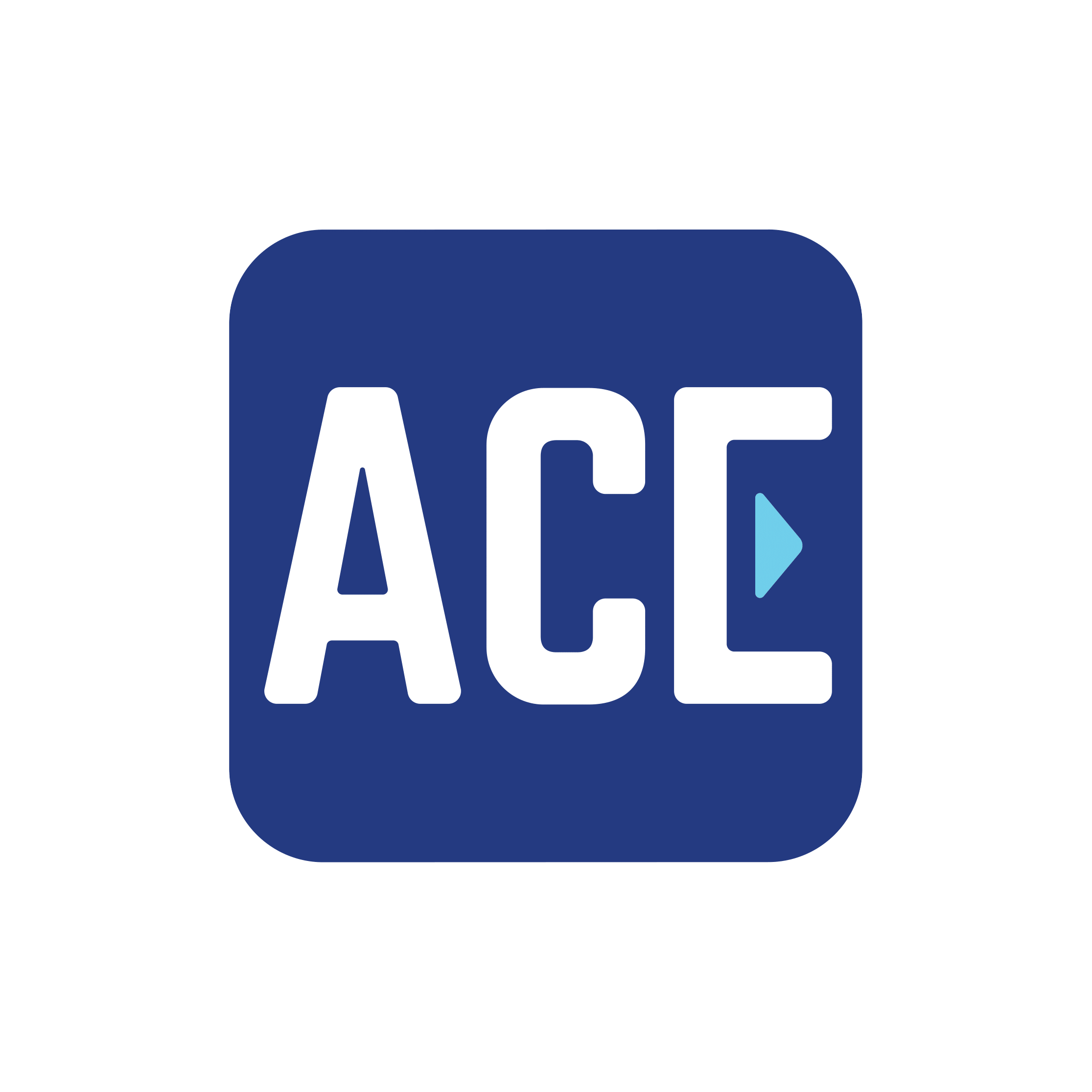 Ace Parking